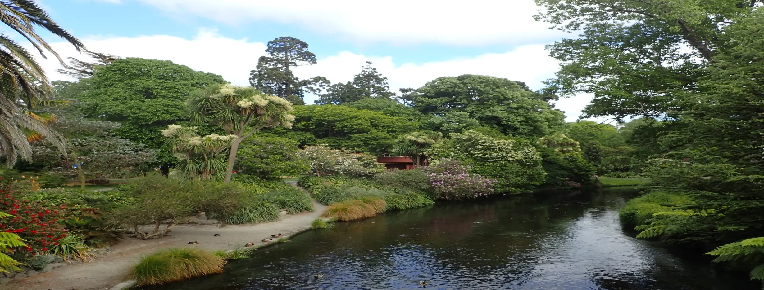 Image for Botanic Gardens